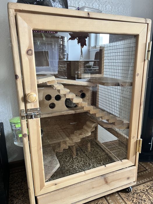 Продам шиншилку(грызун)