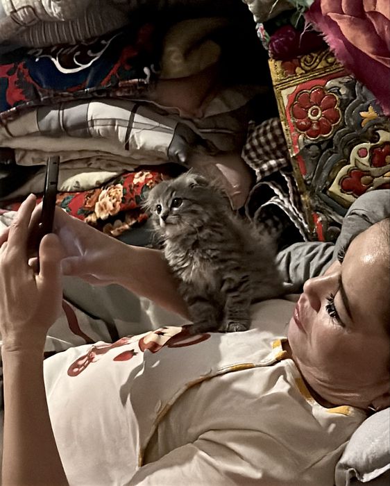 Мысық сатылады өте сүйкімді