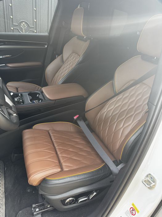 Byd champion Flagship 150км сотилида.