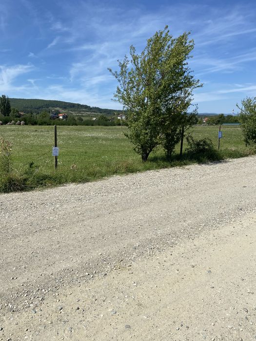 Vând teren intravilan în Petrești ,1560 mp , toate utilitățile , ideal pentru casă