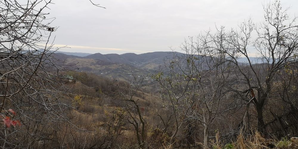 Vanzare Casa Salcia PH