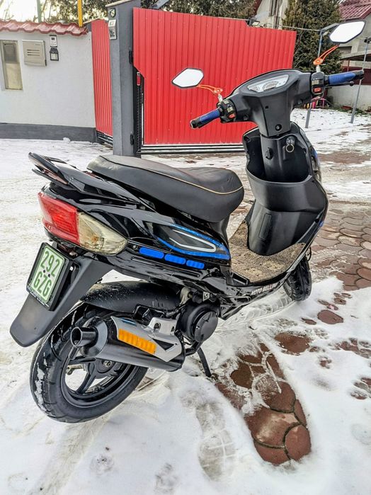 Scuter  bellini 49cm