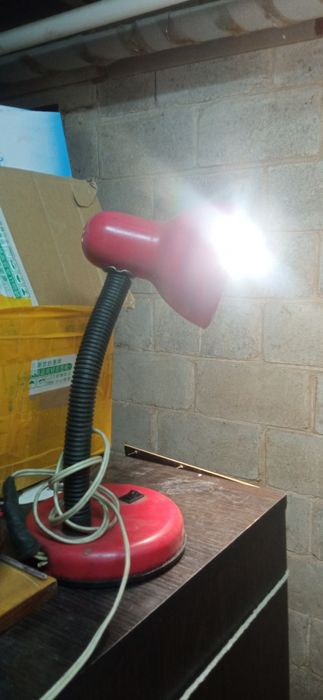 Лампа лампочки  Юг