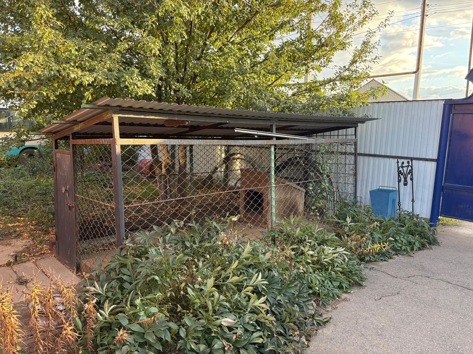 Вальер для собак