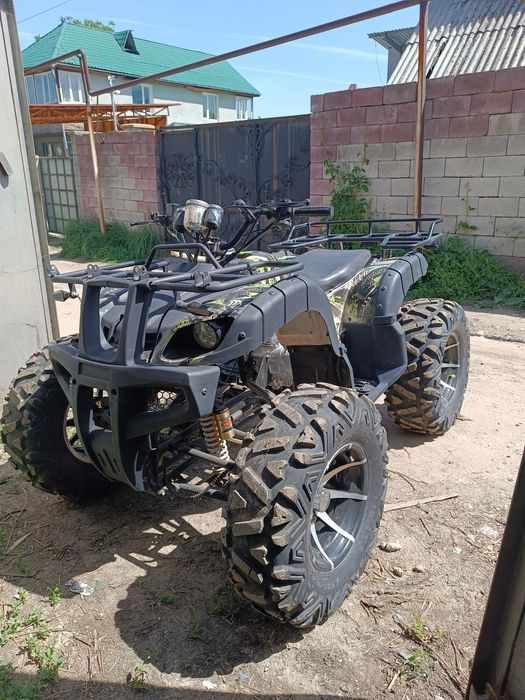 Квадроцикл Беркут 225