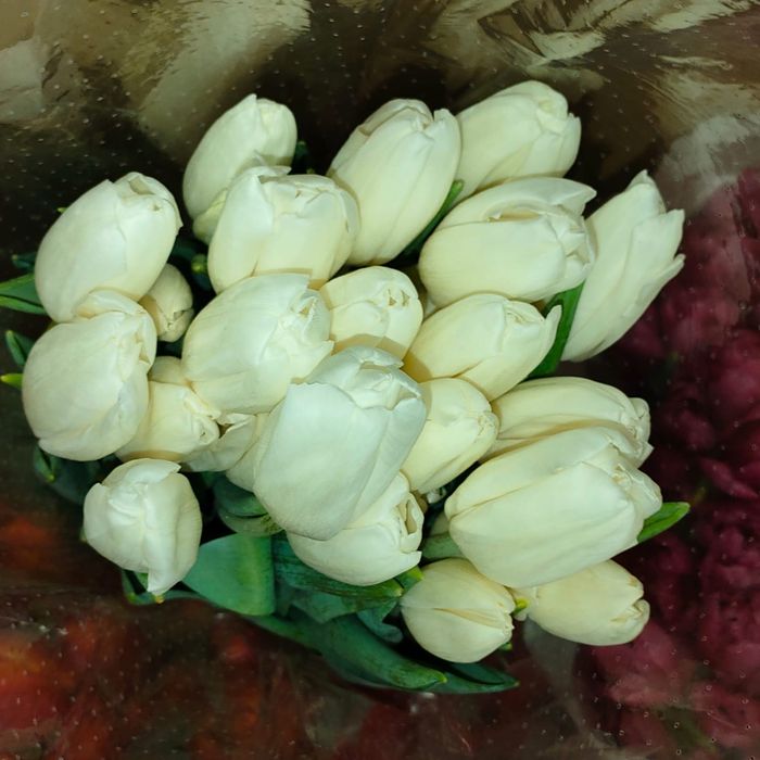 Доставка тюльпанов. Тюльпаны. Цветы. Розы