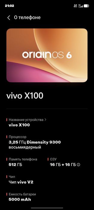 vivo x100 global