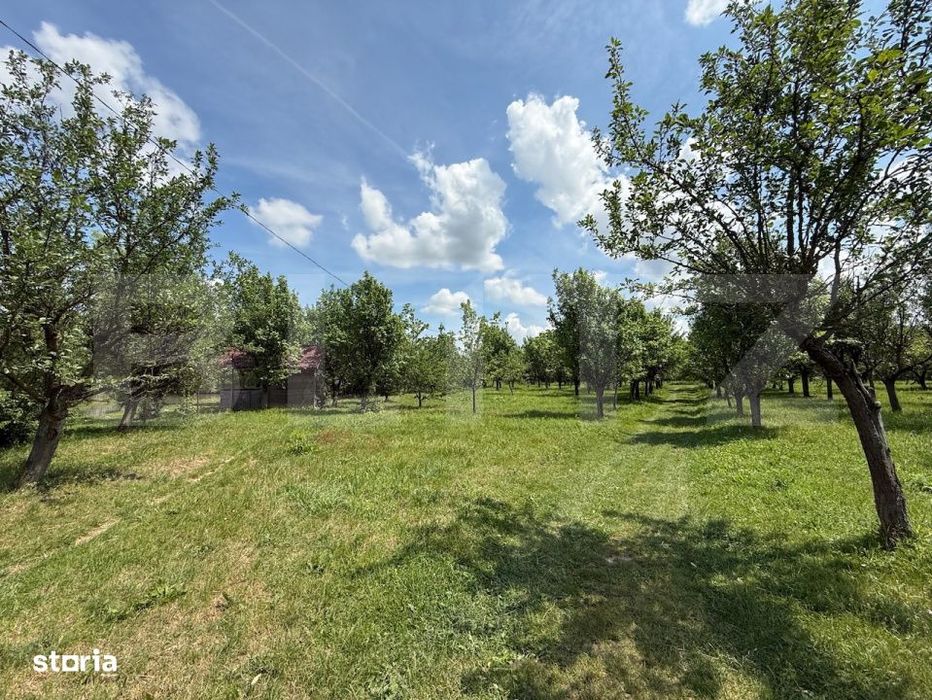 Teren cu livada si lac populat cu peste, 37.620 mp, zona Oar - Vetis