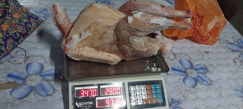 Мяса .Индюки домашние .