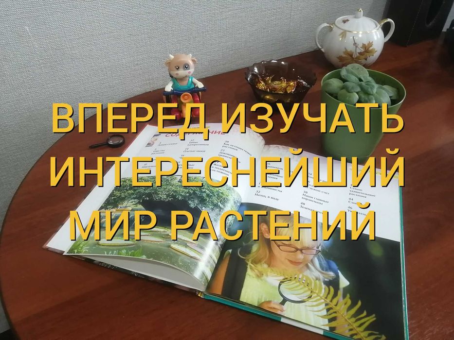 Энциклопедия для детей