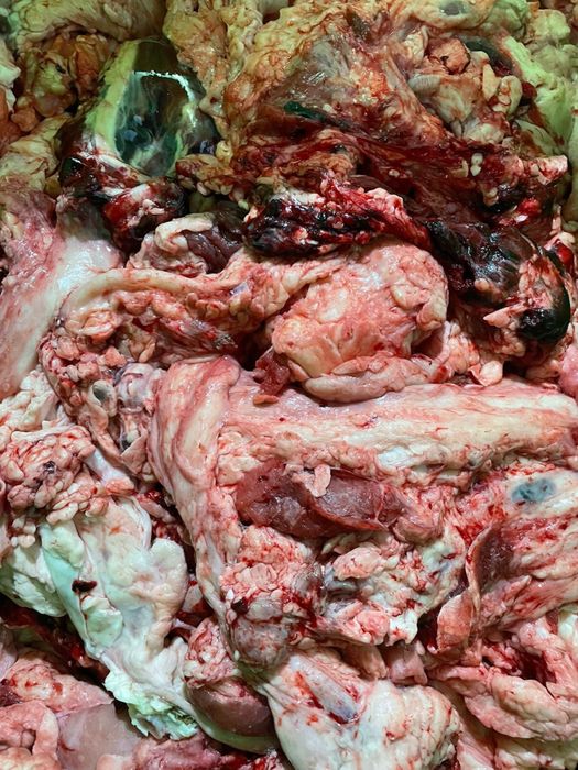 Говяжий жир для собак