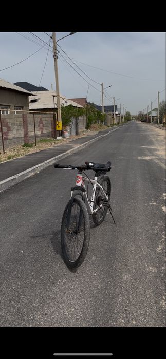 Велик состояние звер