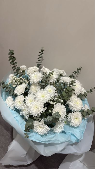 Хризантема 30шт красивый