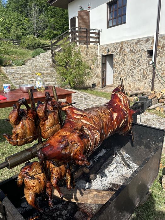 La Protap , porc, berbecut , vitel, taur, pasari!