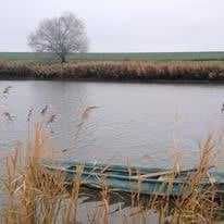 Vand casa la tara cu vedere la balta
