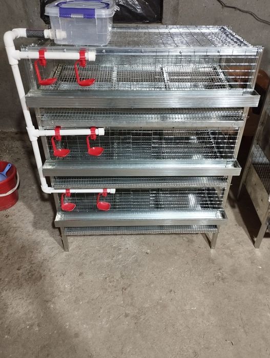 Клетка бедана заказ оламиз, P120 талик