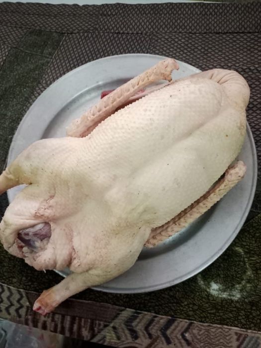 Продаю мясо гусей