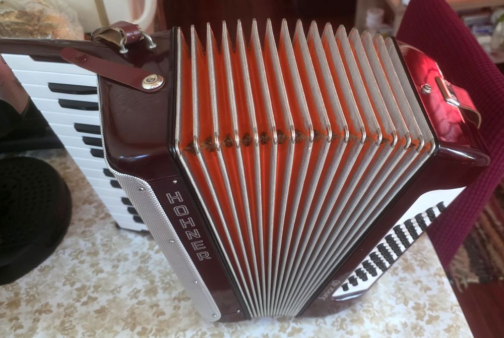 Hohner junior 40