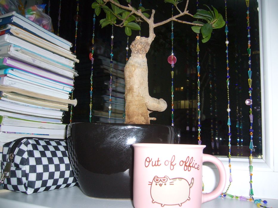 Японская мыльница panasonic dmc-fx3