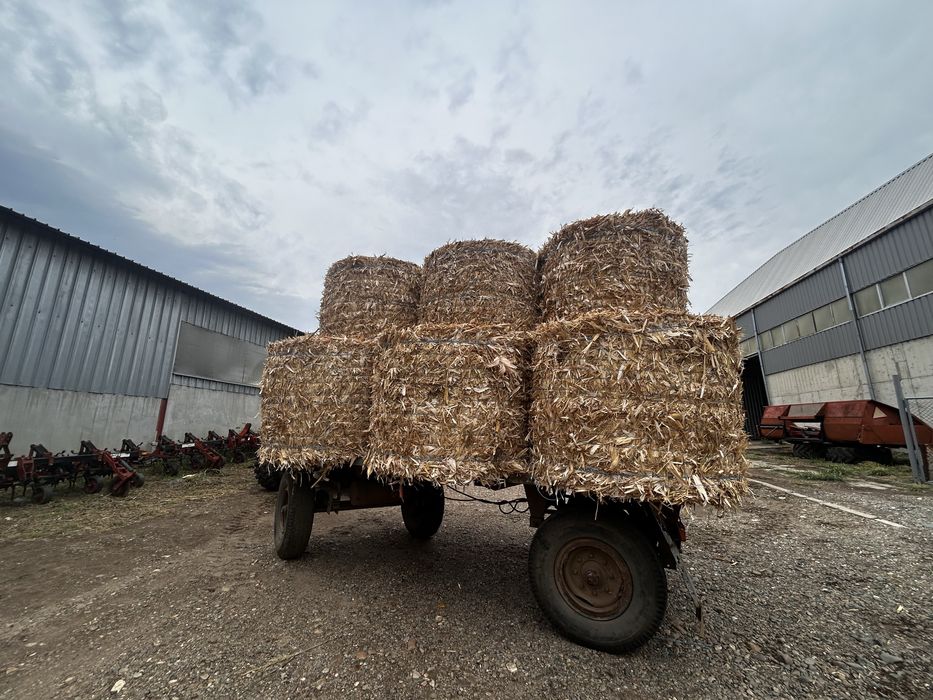 Бали Церевични 2025г.