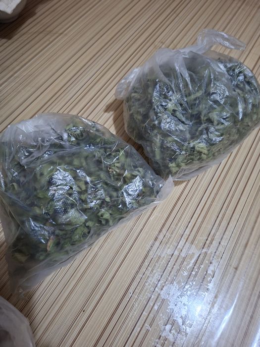 Продаётся мята сушеная