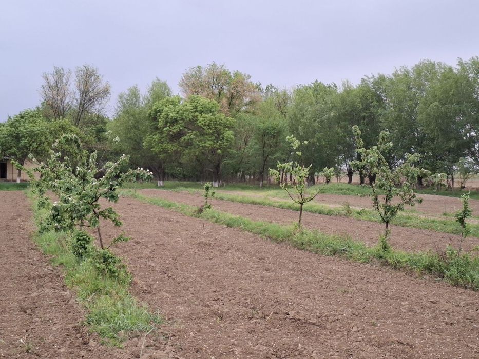 Oqoltin tumanida sotuvdagi yer