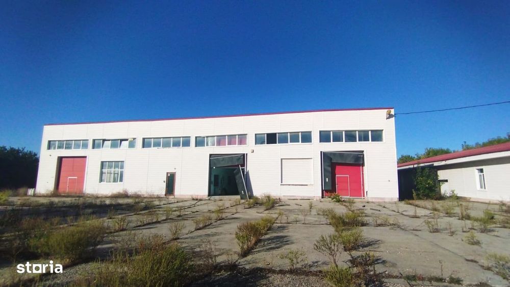 OCAZIE Complex industrial 4 hale producție + depozitare, 17.000 mp, de