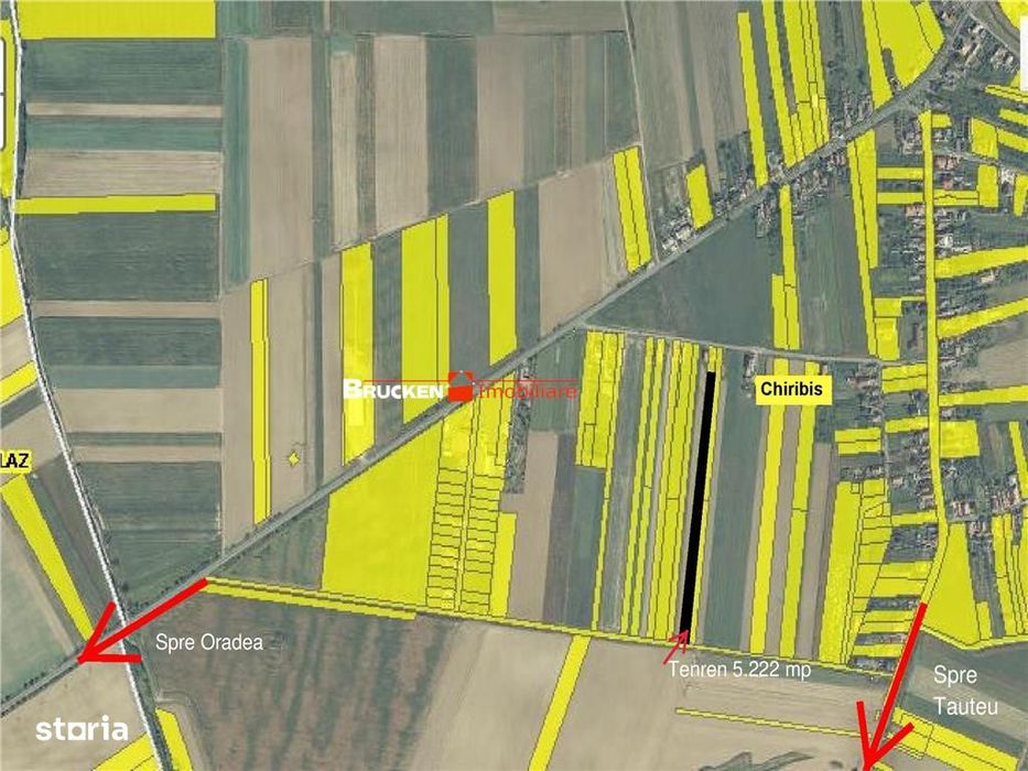 Teren Intravilan | Chiribis