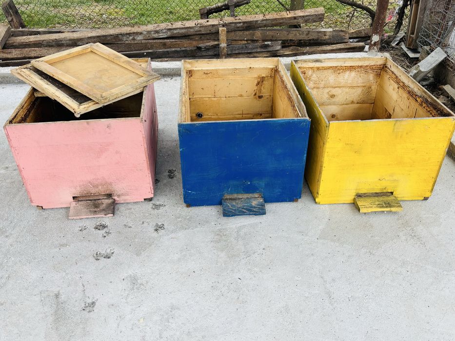 Cutii stupi 17 rame pat cald