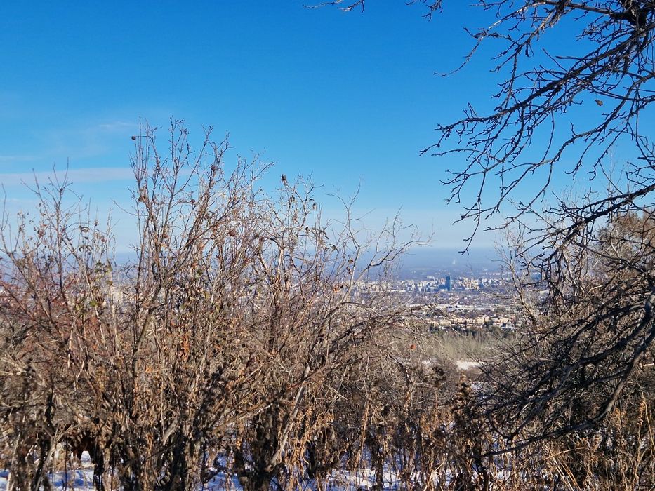 Лошади на согым.