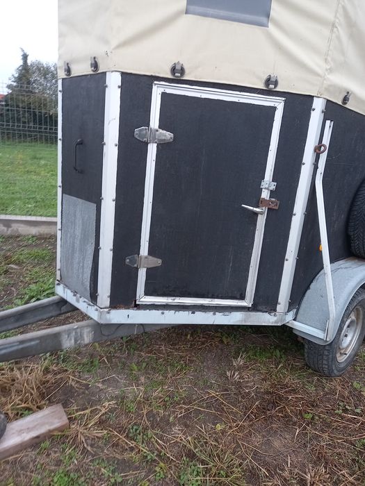 Remorca de cai 2000 kg