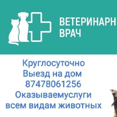 Ветеринарный врач