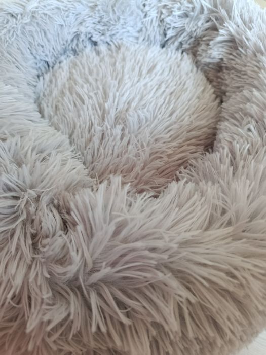 Легло за котка или малко куче