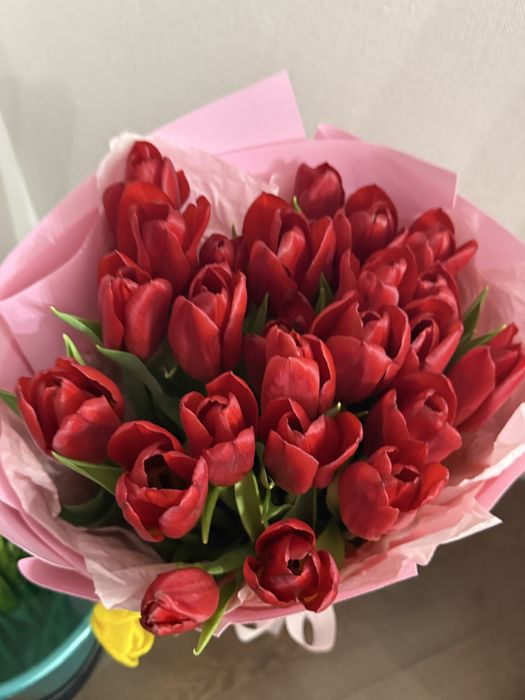 Тюльпаны красивые свежие