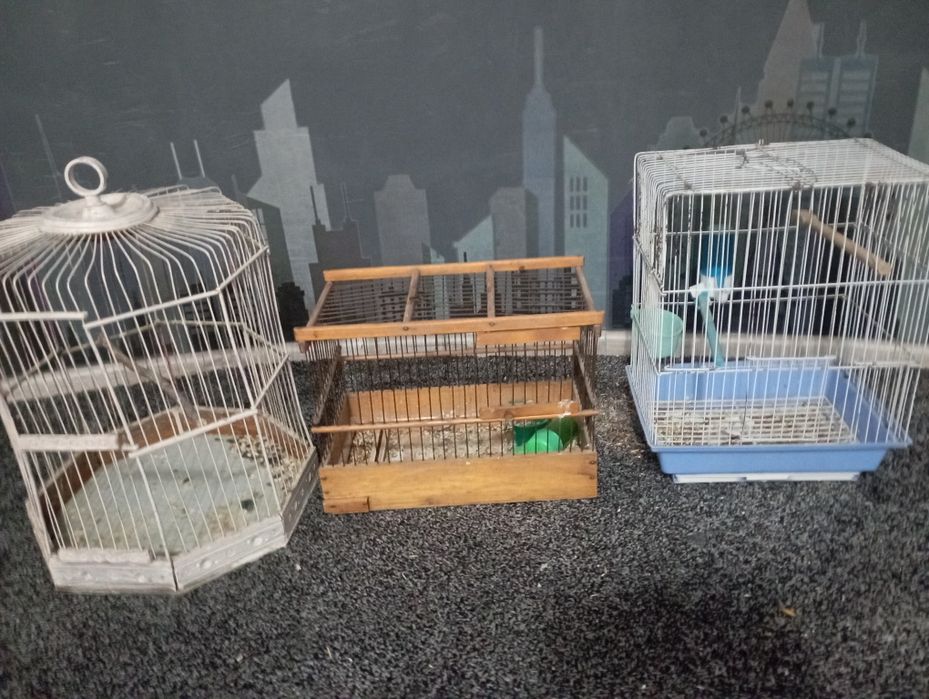 Кафас клетка. Сотилади.