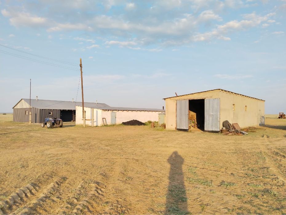 Шаруа қожалық сатылымда