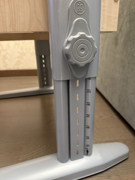 Парта Дэми. «Растущая»