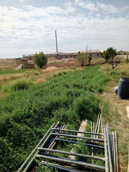 Yer sotiladi 1 sotigi 3500$ 3 sotik bor