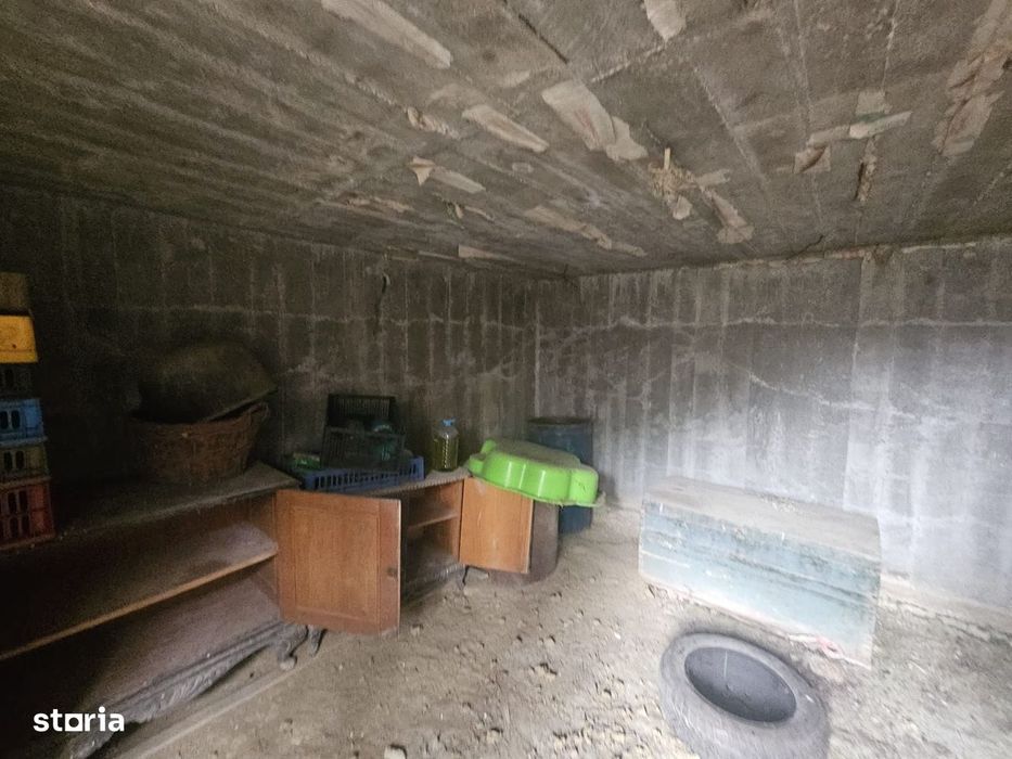 Casă nouă P+1 de vânzare în Bogați, zonă pitorească