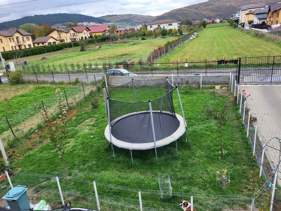 Persoana fizica vând