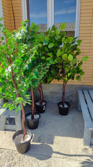 Продается искуственные деревья.