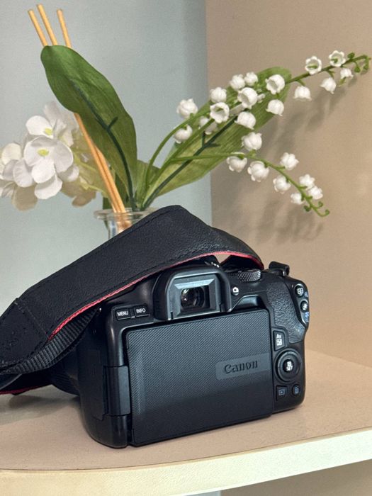 Canon eos 250d фотоаппарат