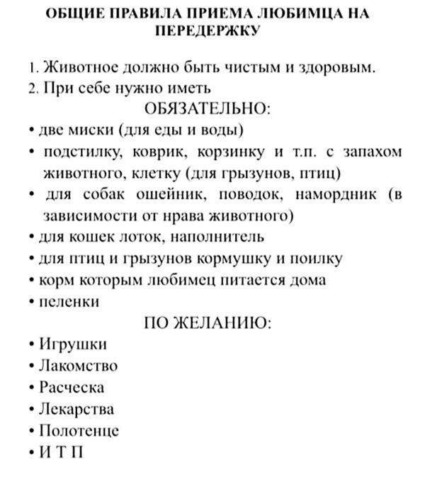 Передержка животных