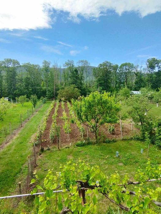 Продава се Къща в Търговище, Вилна зона - 55 кв.м за 696 €/кв.м - Снимка #22