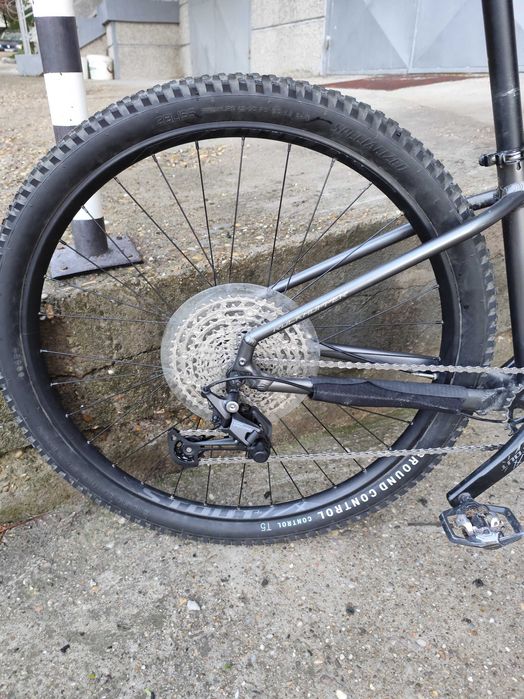 Specialized Rockhopper 29