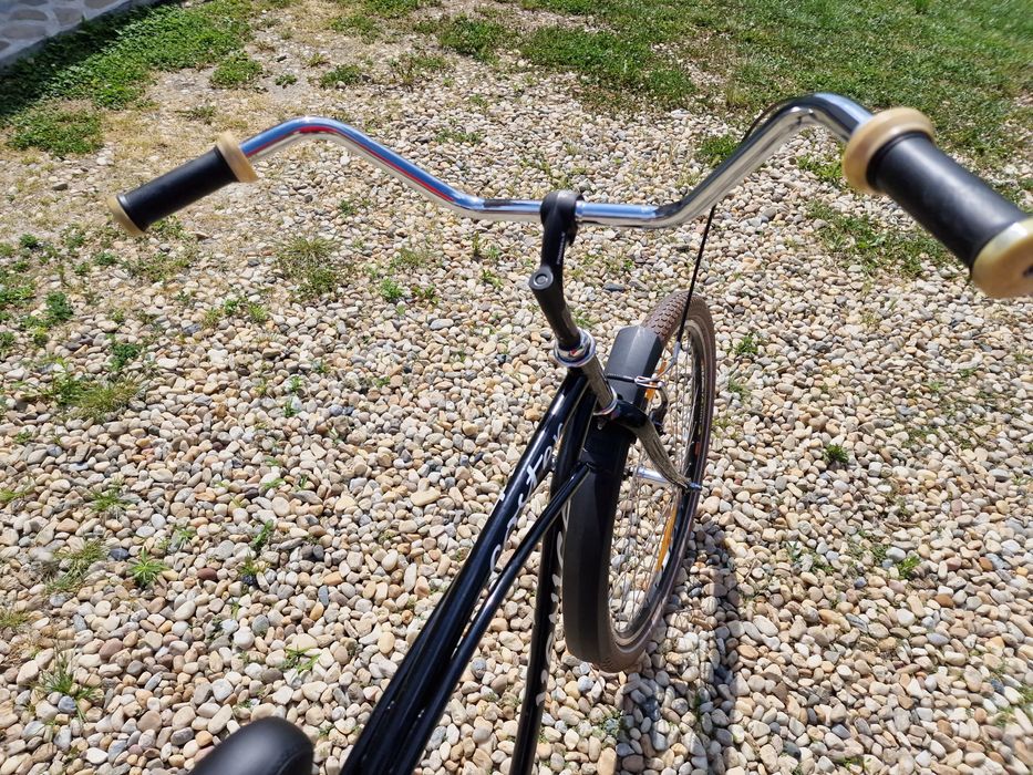 Bicicleta coster venice