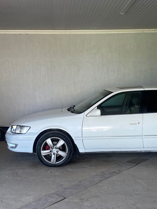 Титанка лексус джессика