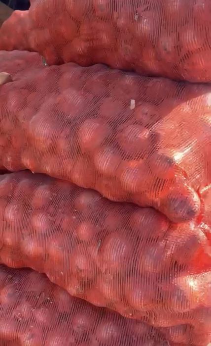 Продам лук отборный хороший