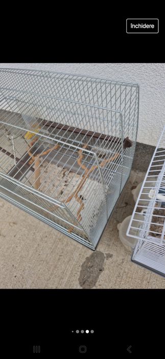 Colivie cu accesorii