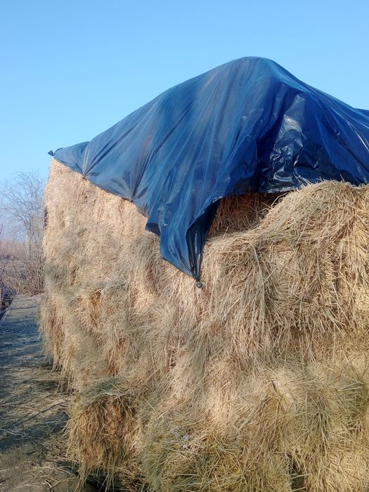 Шоли прес сотилади